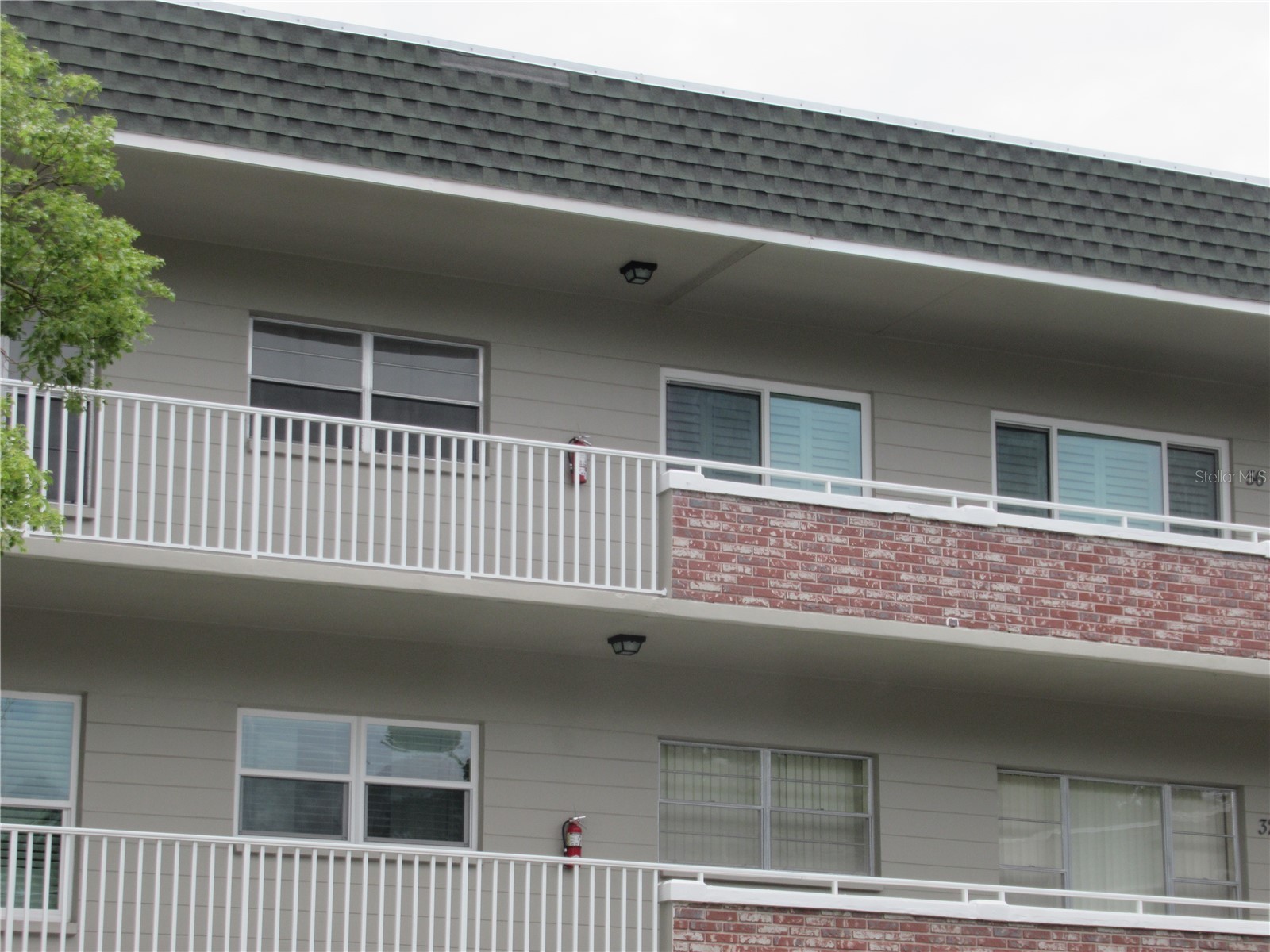 2426 Persian Drive #56 Clearwater FL 33763 TB8514495 image4