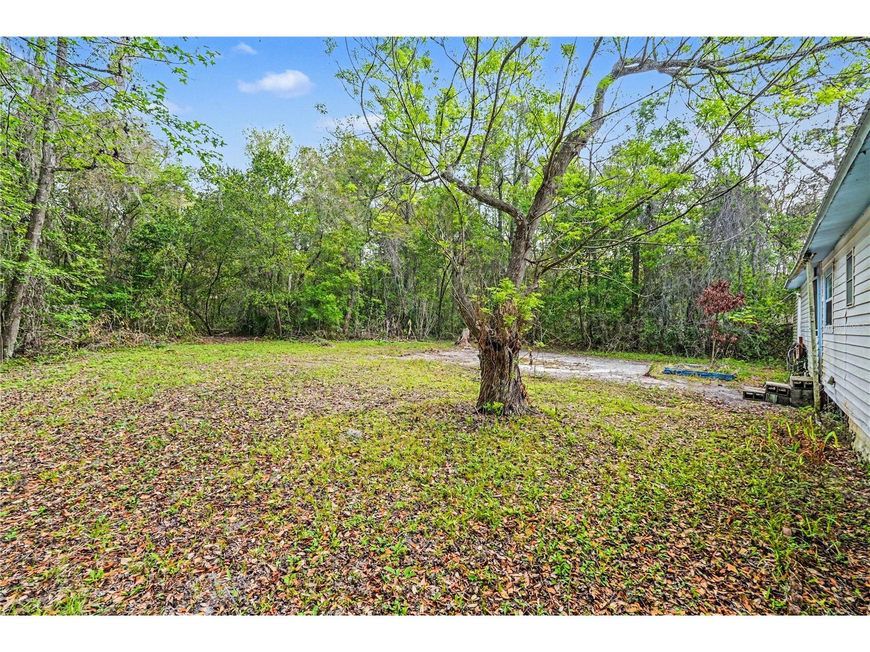 24265 Duffield Road Brooksville FL 34601 TB8489967 image21