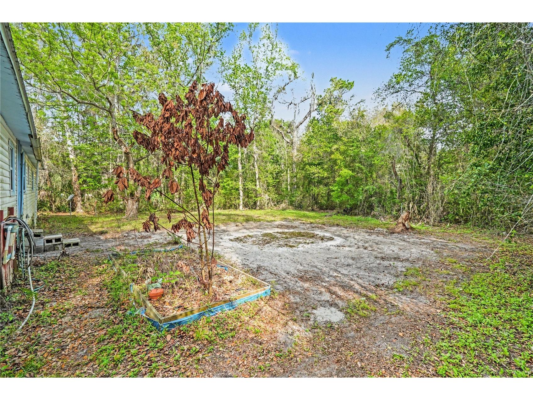 24265 Duffield Road Brooksville FL 34601 TB8489967 image22