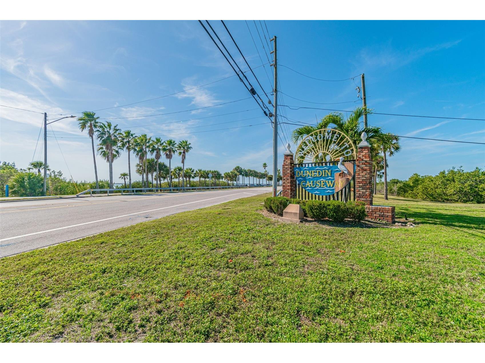 2427 Baywood Drive W Dunedin FL 34698 TB8476160 image72