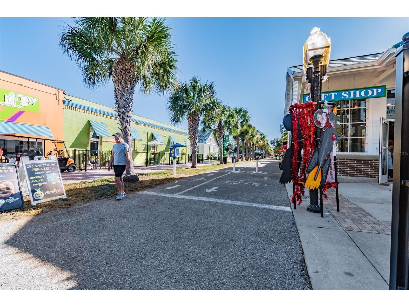 2427 Baywood Drive W Dunedin FL 34698 TB8476160 image74