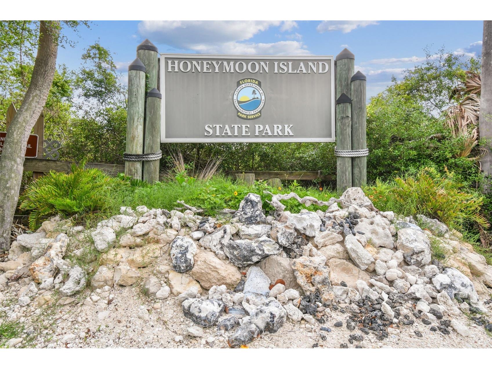 2427 Baywood Drive W Dunedin FL 34698 TB8476160 image79