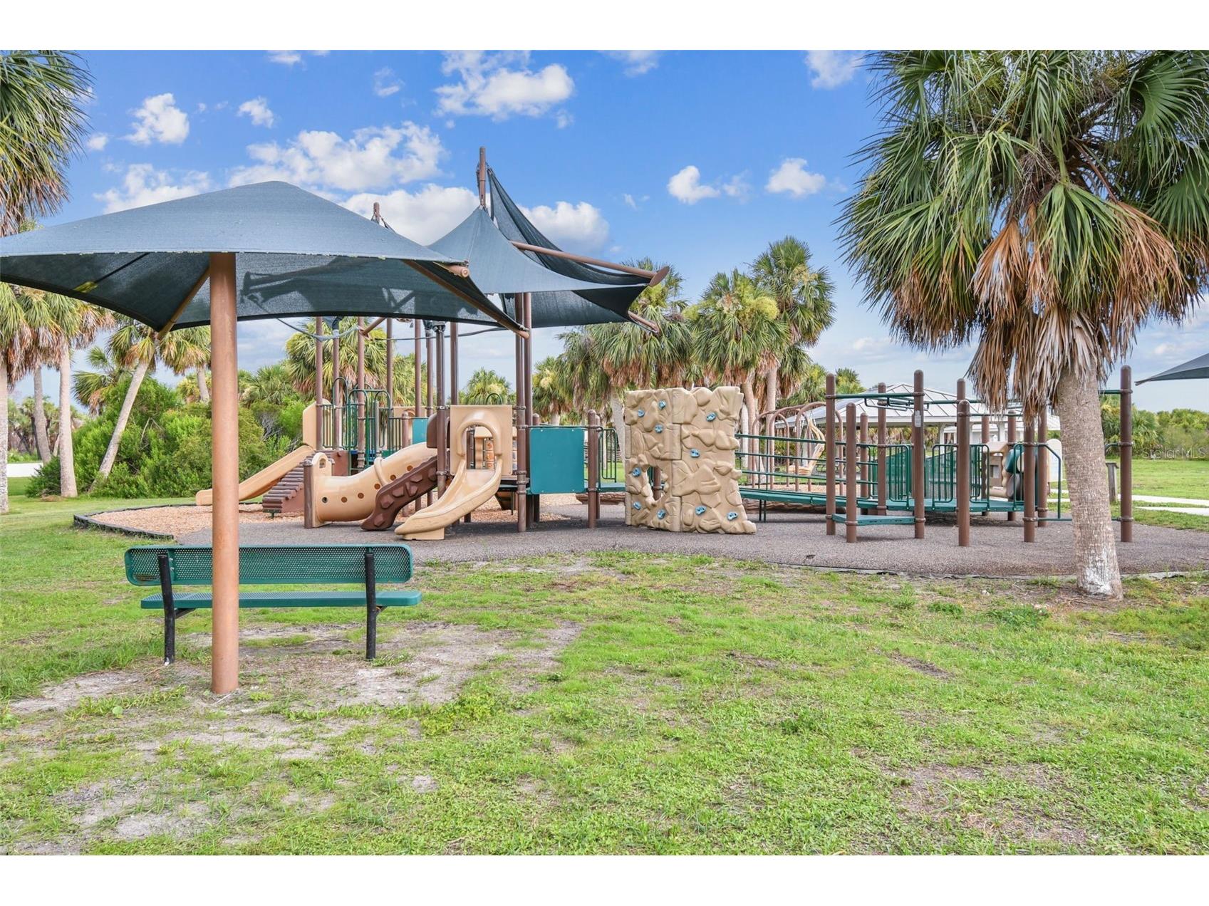 2427 Baywood Drive W Dunedin FL 34698 TB8476160 image81