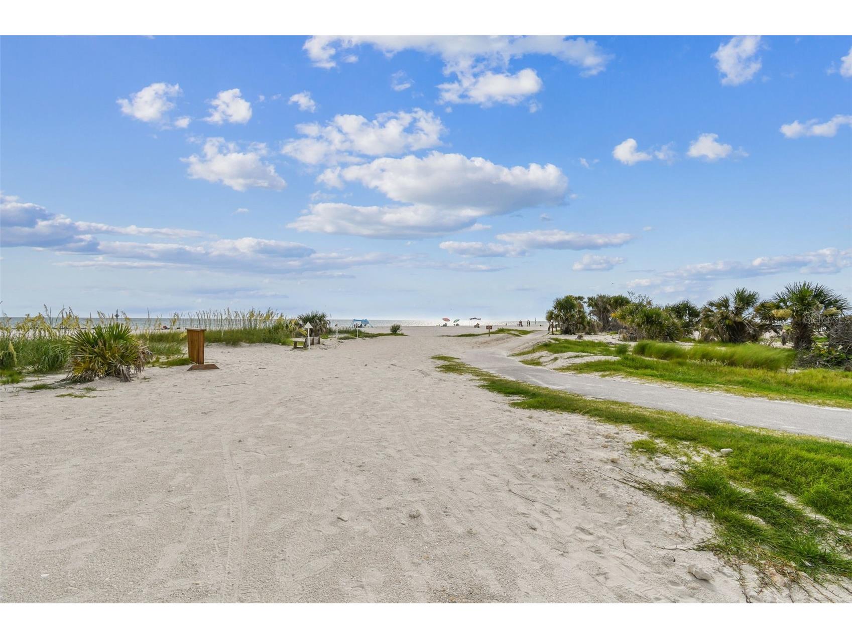 2427 Baywood Drive W Dunedin FL 34698 TB8476160 image82