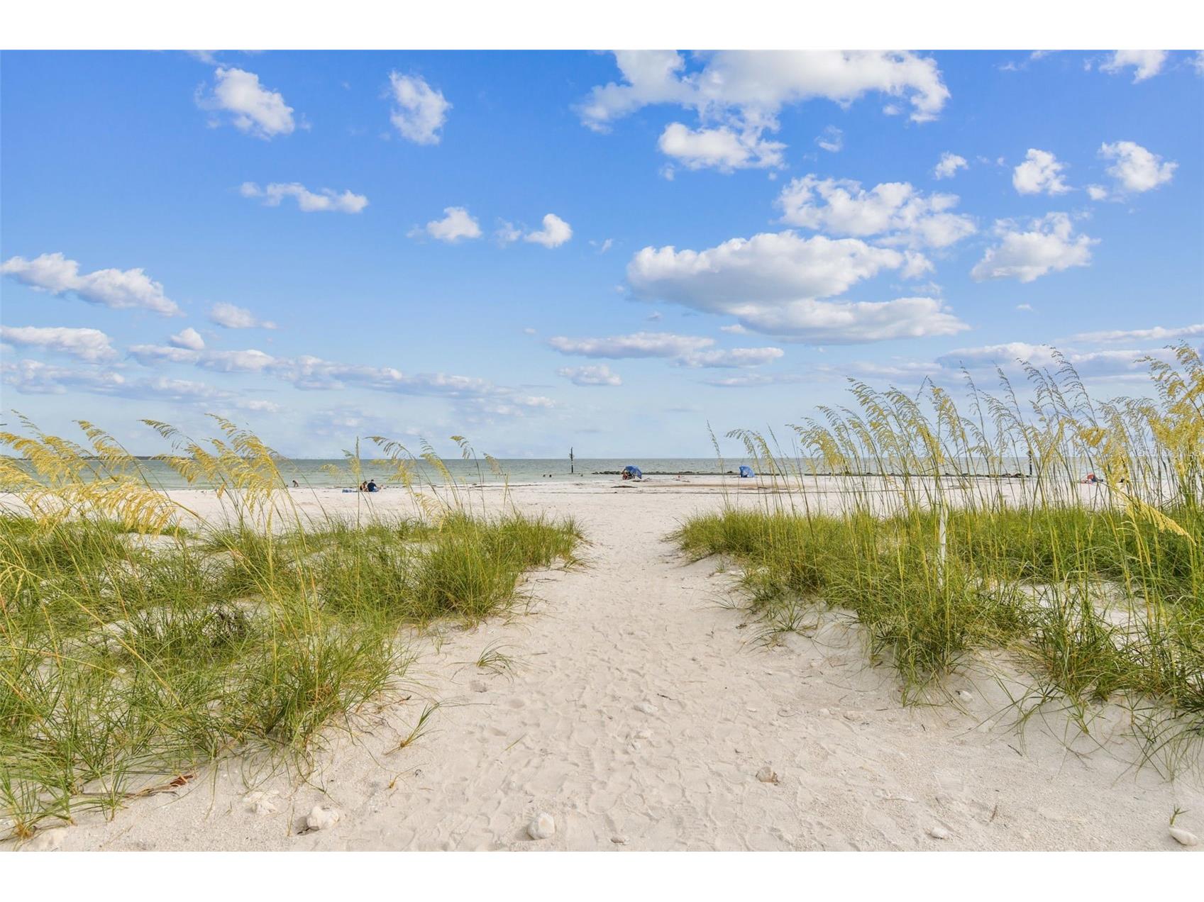 2427 Baywood Drive W Dunedin FL 34698 TB8476160 image83