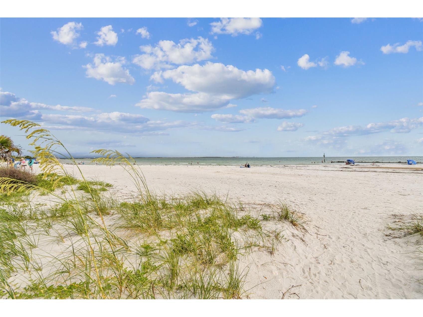 2427 Baywood Drive W Dunedin FL 34698 TB8476160 image84