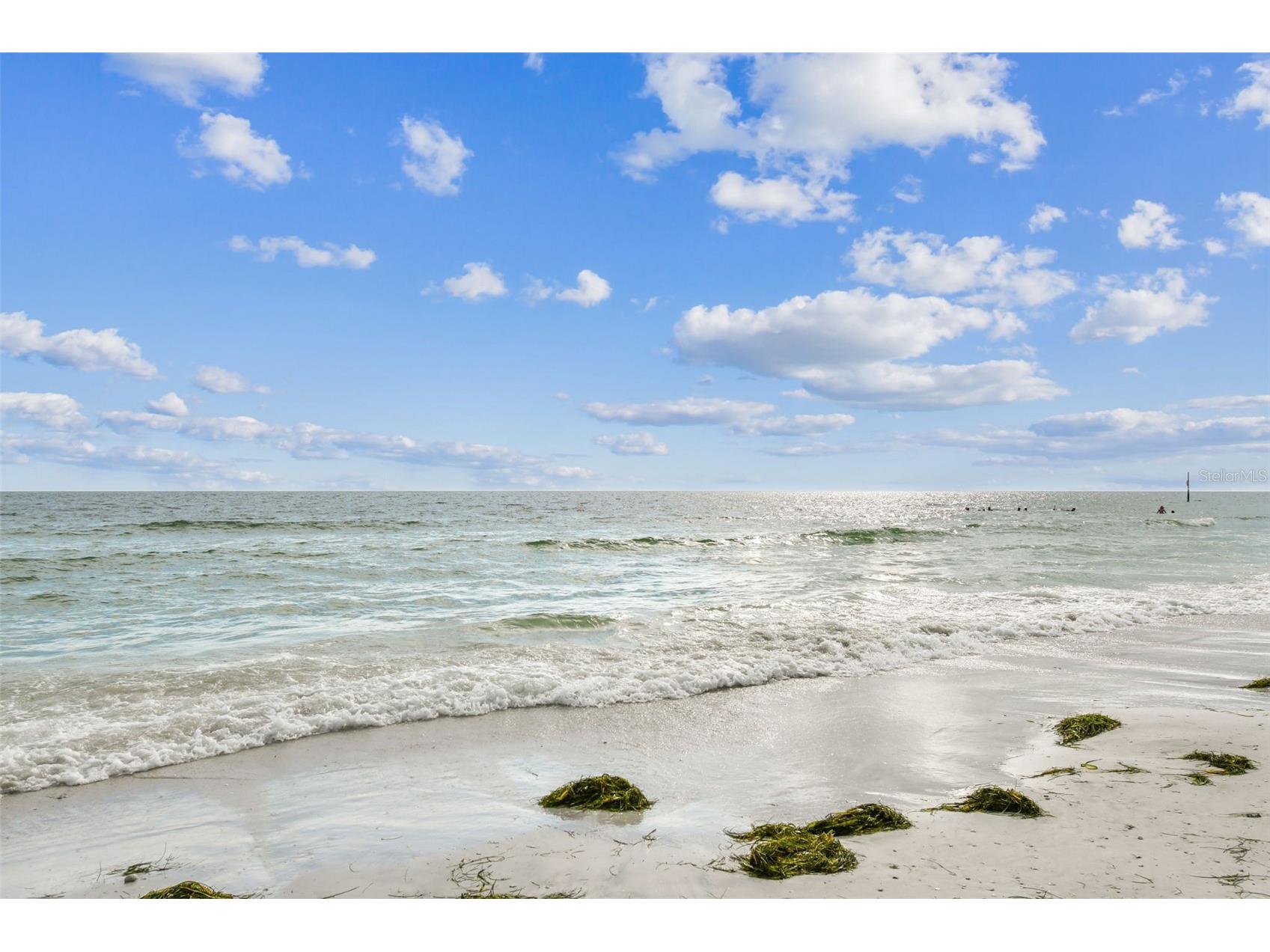 2427 Baywood Drive W Dunedin FL 34698 TB8476160 image85