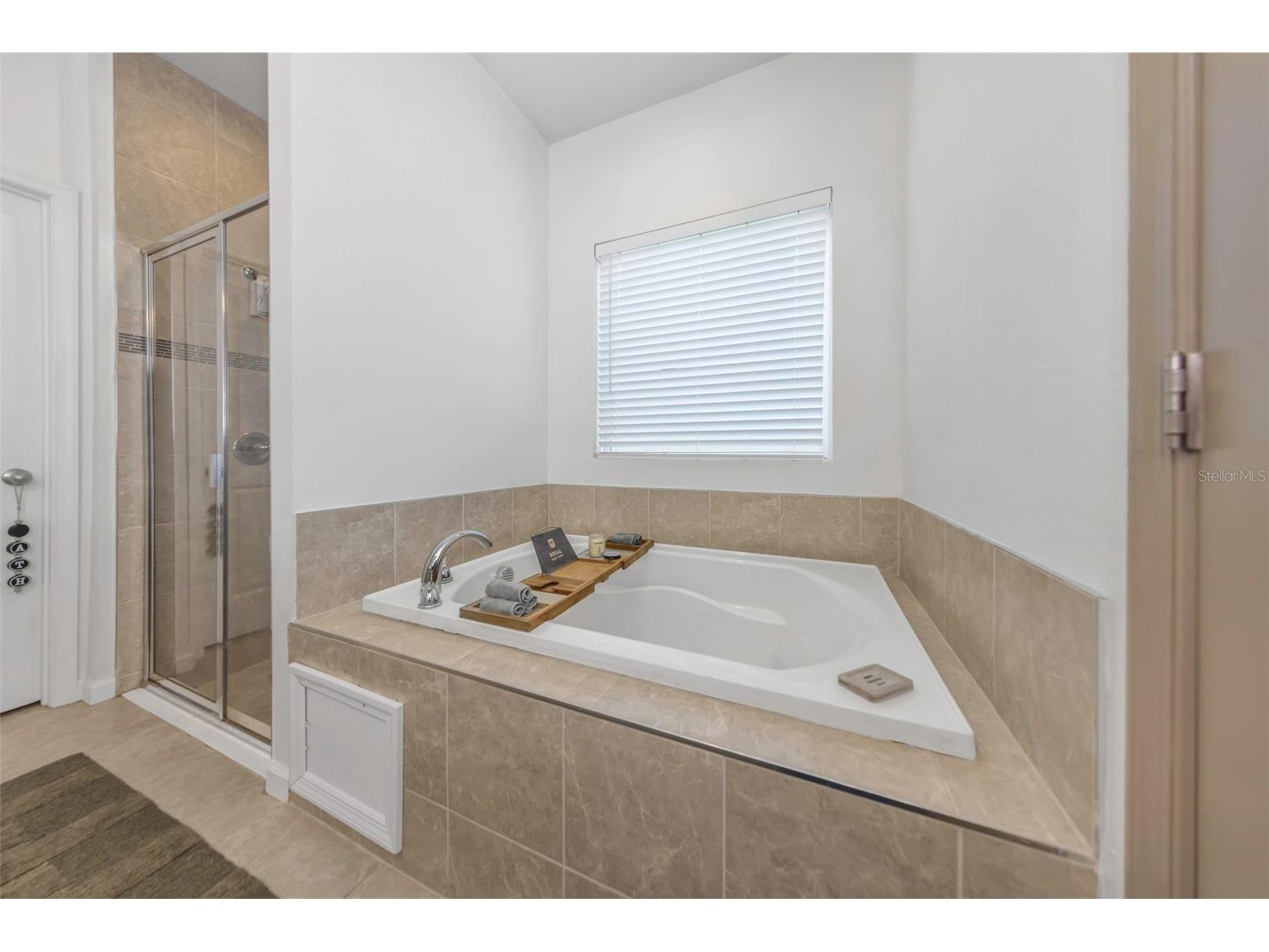 2427 Portico Street Odessa FL 33556 TB8495444 image17