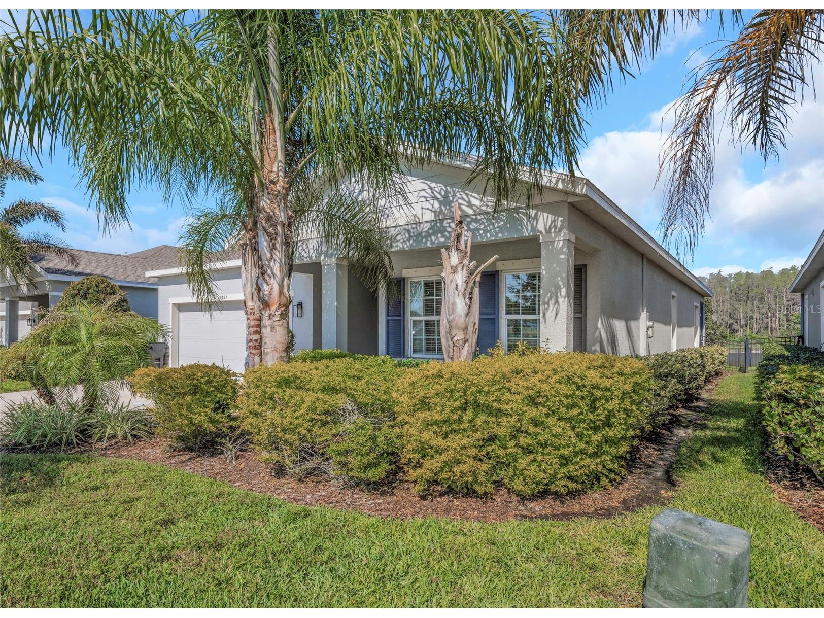 2427 Portico Street Odessa FL 33556 TB8495444 image4