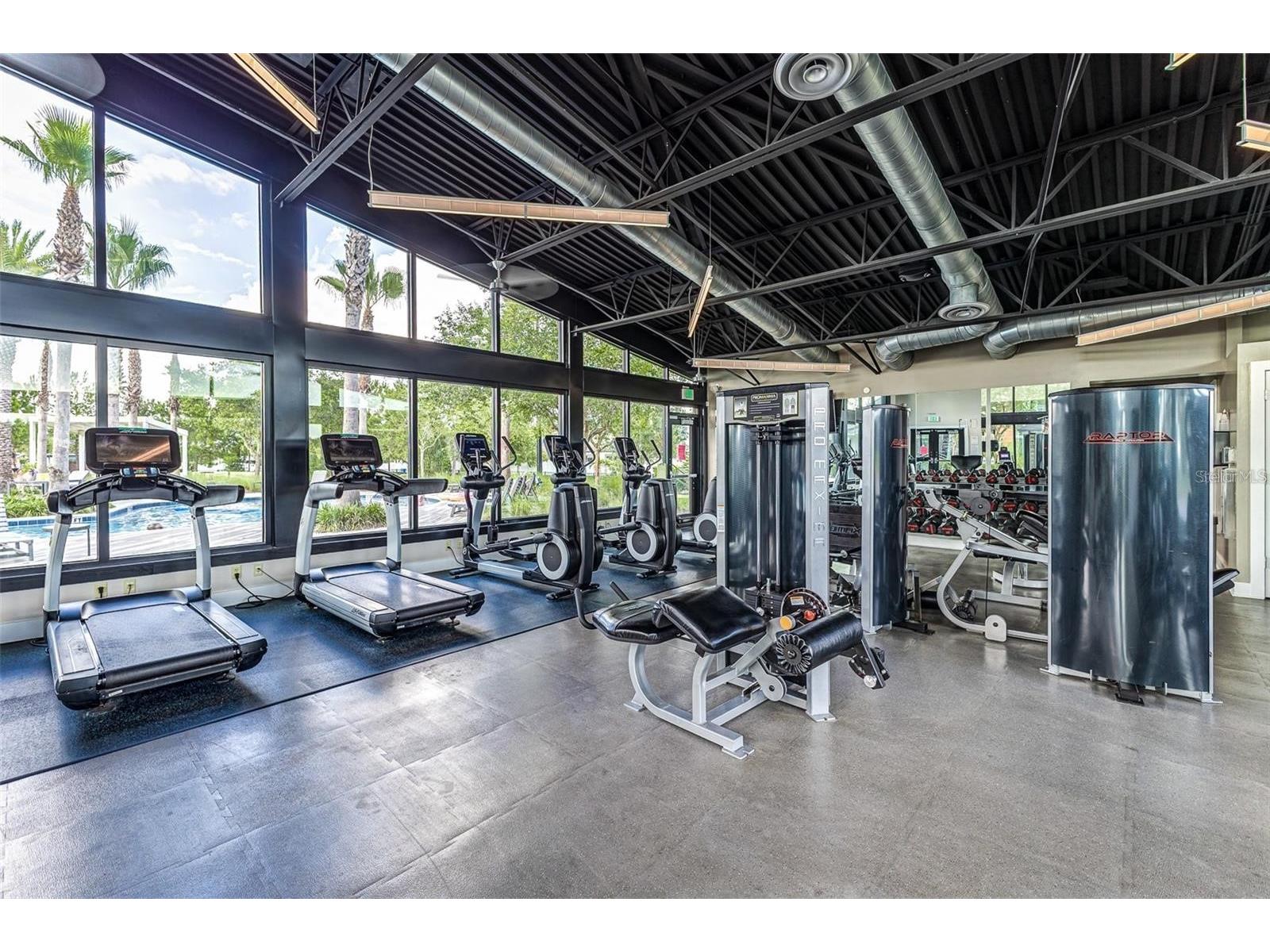 2427 Portico Street Odessa FL 33556 TB8495444 image42