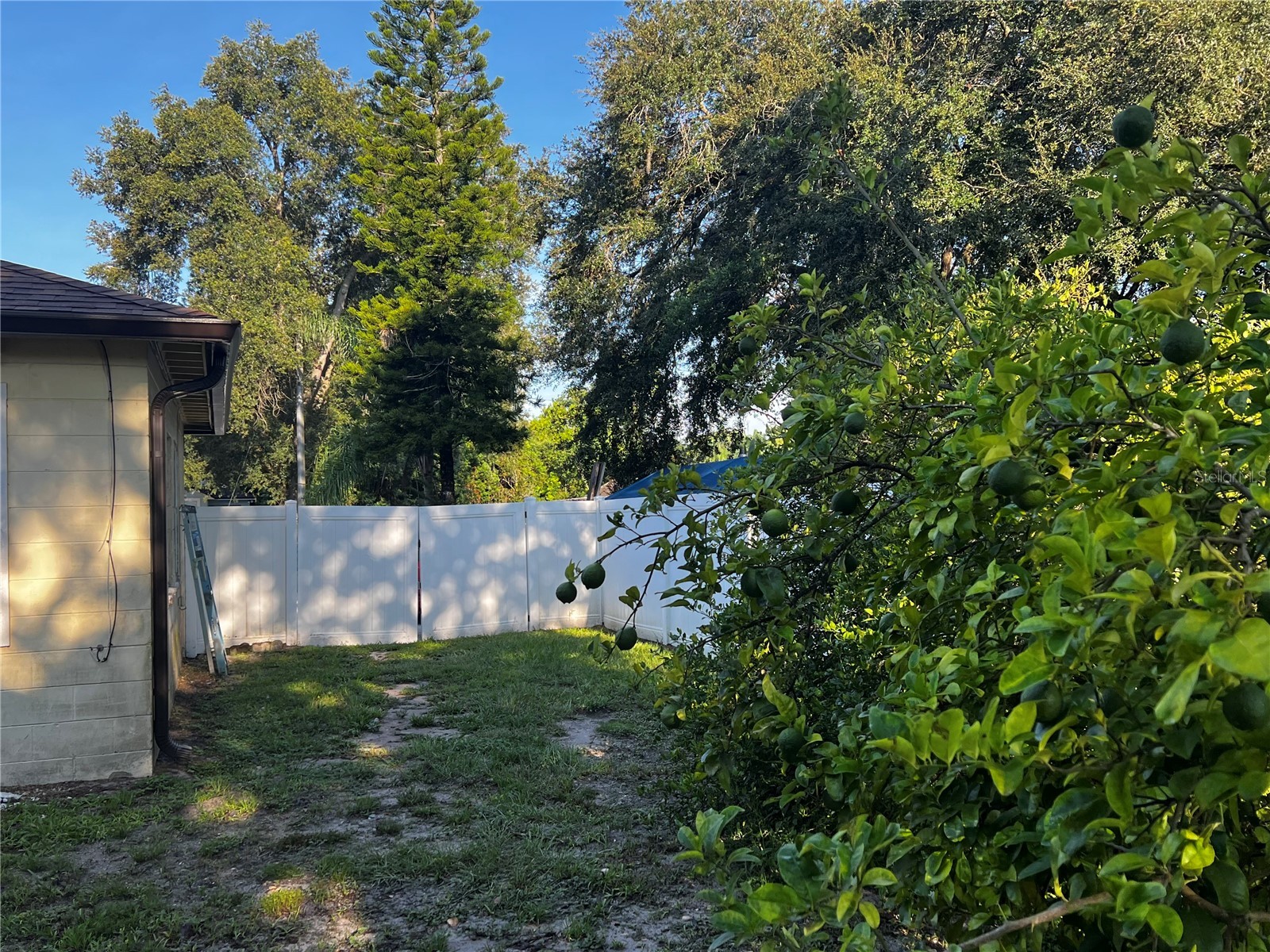 2427 Princeton Avenue Sanford FL 32771 O6386898 image15