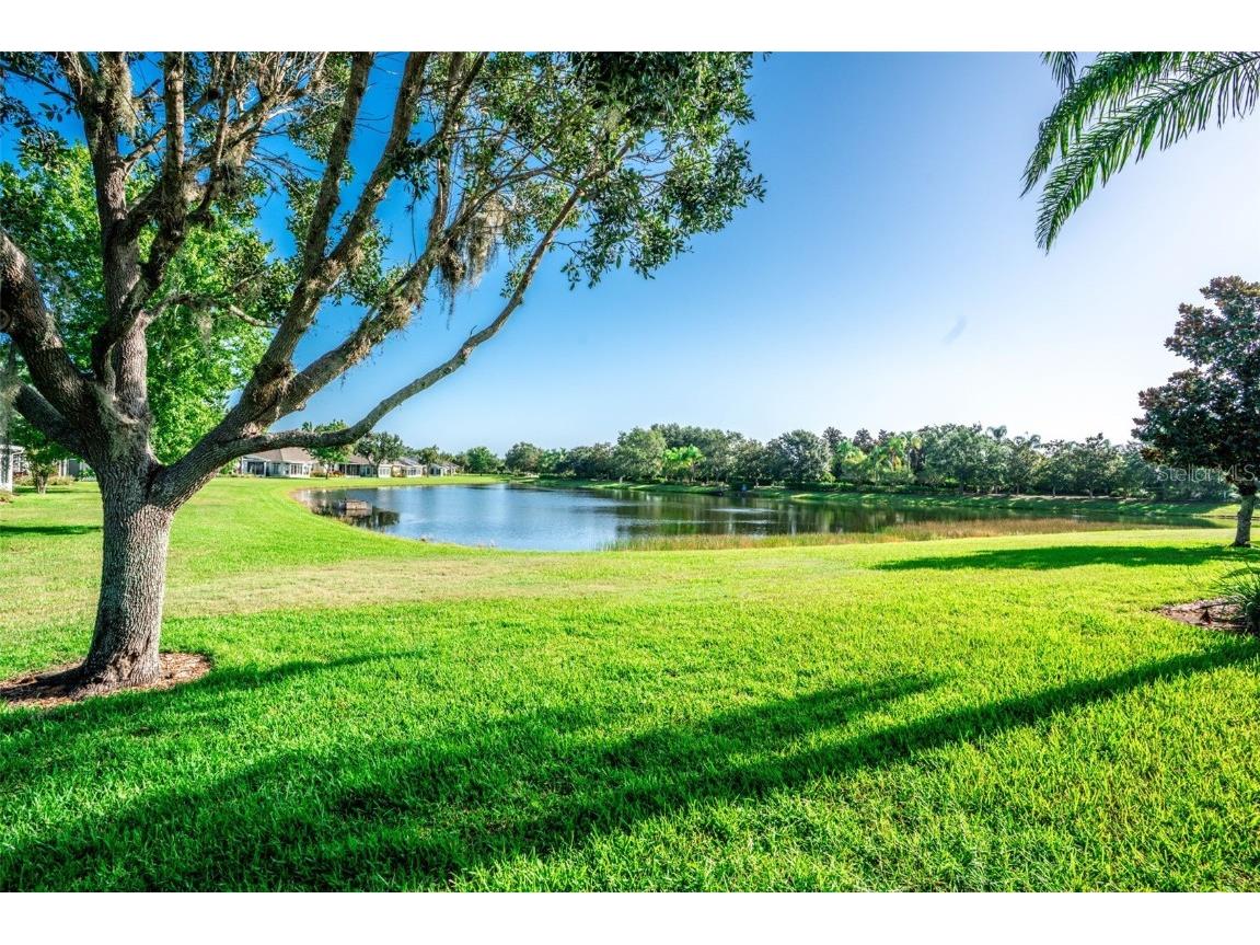 2427 Sifield Greens Way Sun City Center FL 33573 TB8411342 image31