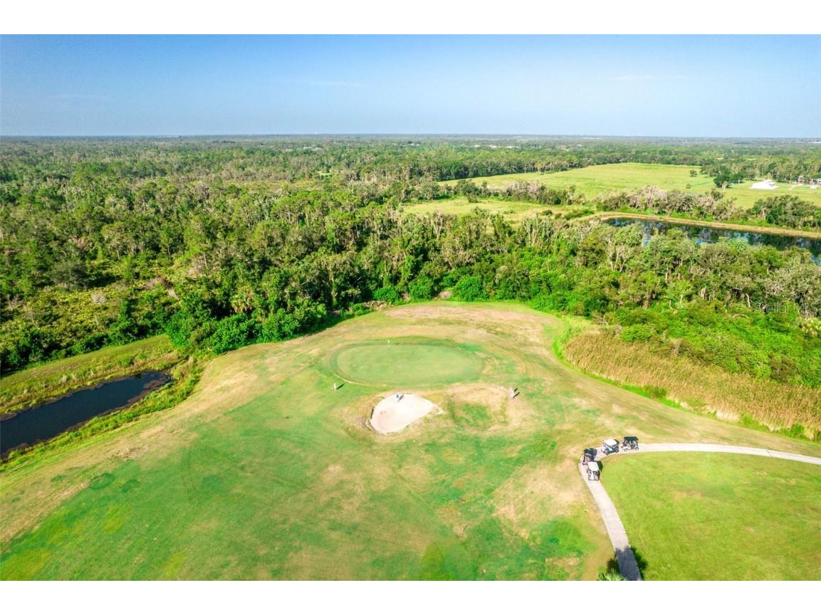 2427 Sifield Greens Way Sun City Center FL 33573 TB8411342 image37