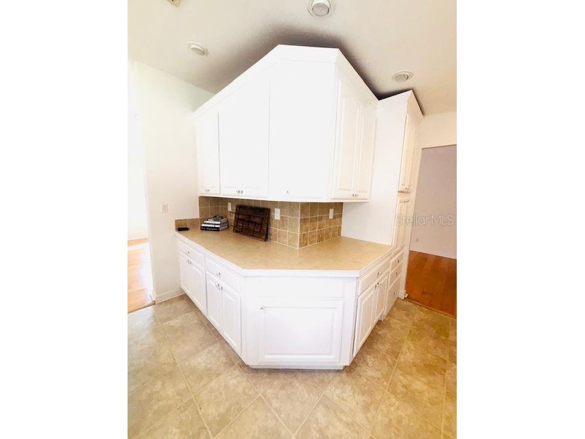 24270 Browning Place Brooksville FL 34601 TB8355459 image7