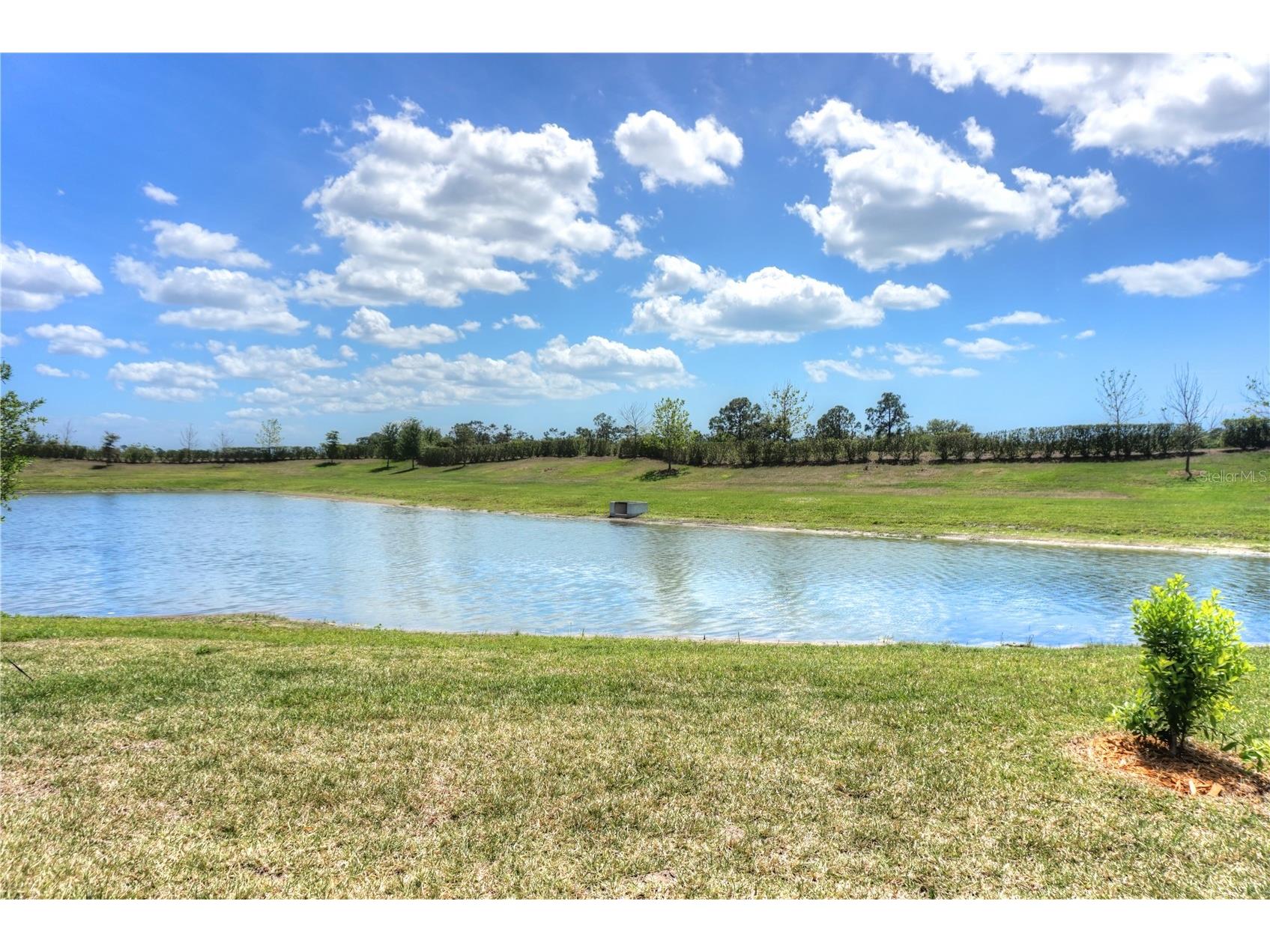 24273 Spartina Drive Venice FL 34293 N6143006 image16