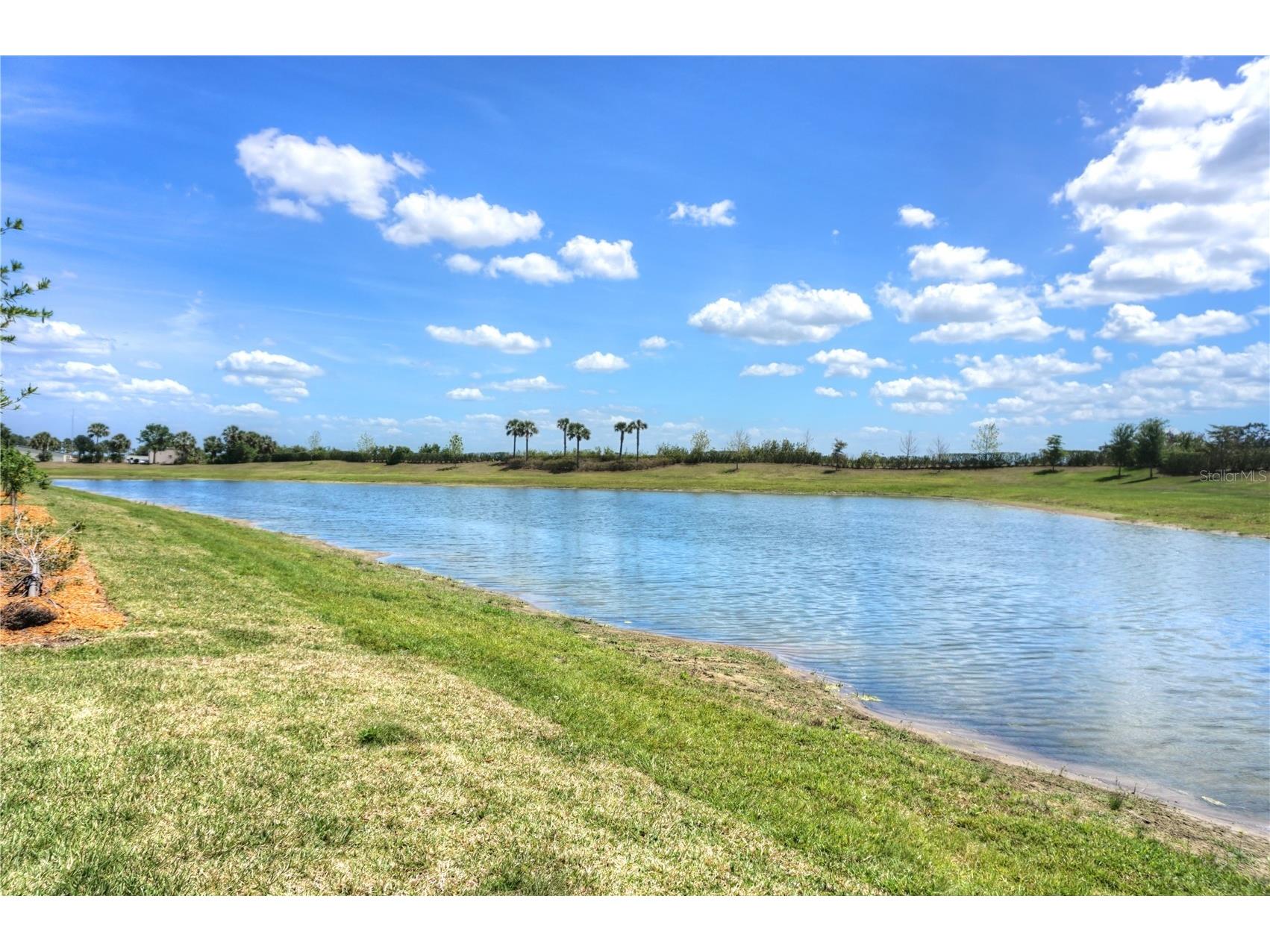 24273 Spartina Drive Venice FL 34293 N6143006 image17