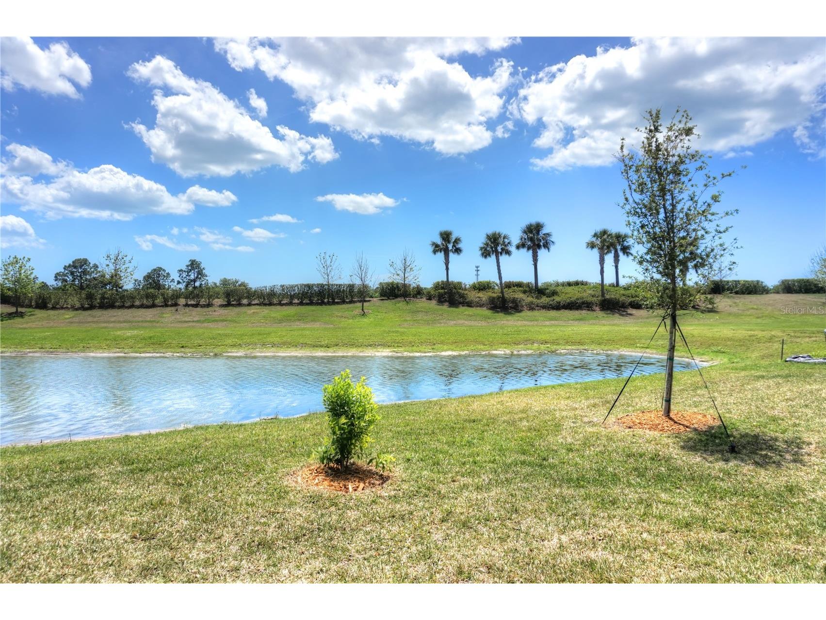 24273 Spartina Drive Venice FL 34293 N6143006 image18