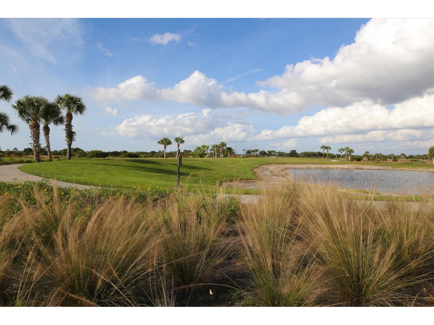 24273 Spartina Drive Venice FL 34293 N6143006 image85