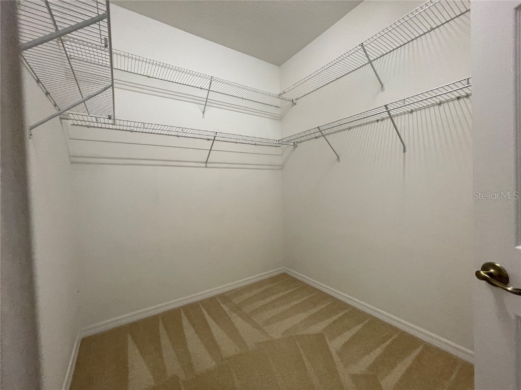 2428 129th Avenue E Parrish FL 34219 A4667582 image48