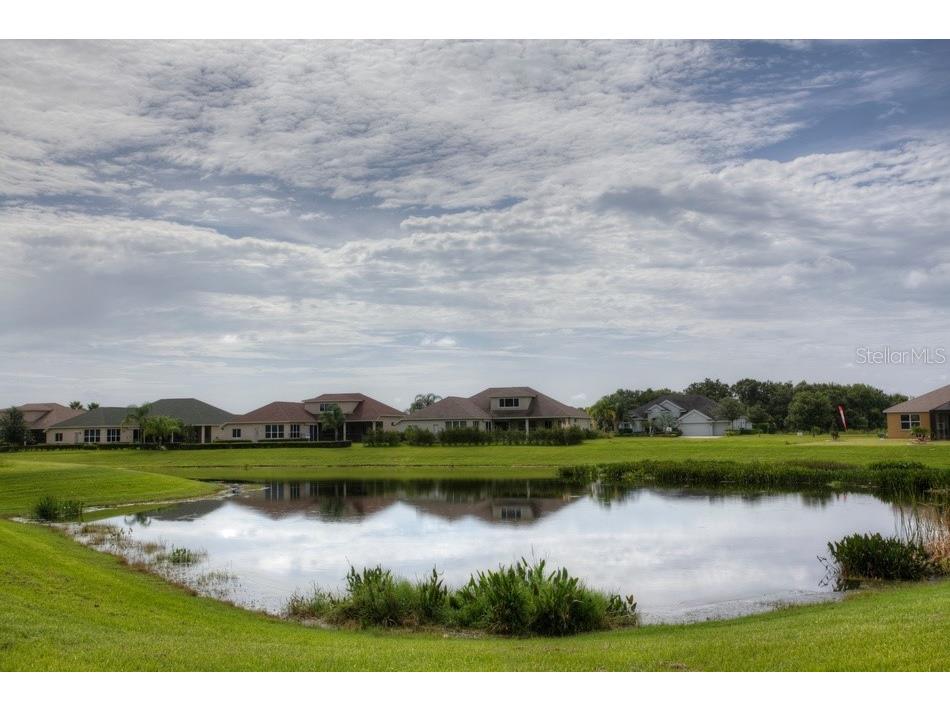 2428 129th Avenue E Parrish FL 34219 A4667582 image52