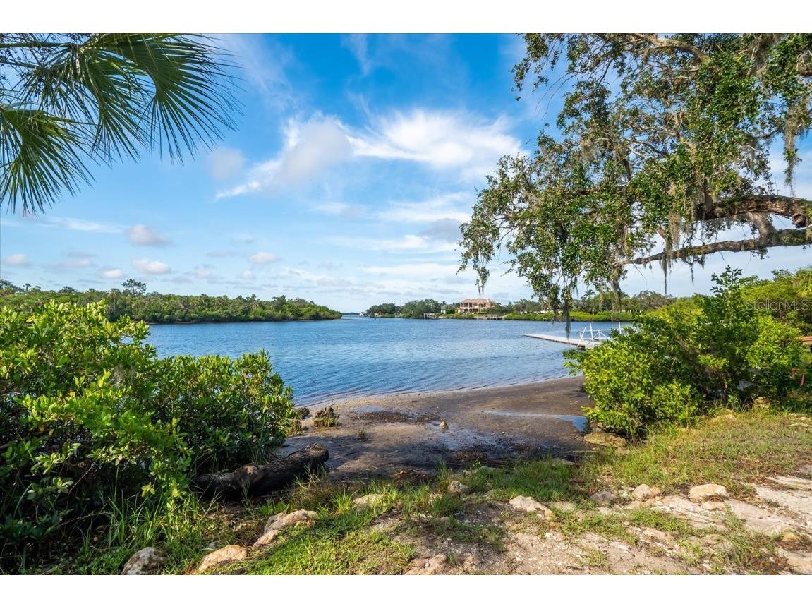 2428 129th Avenue E Parrish FL 34219 A4667582 image71