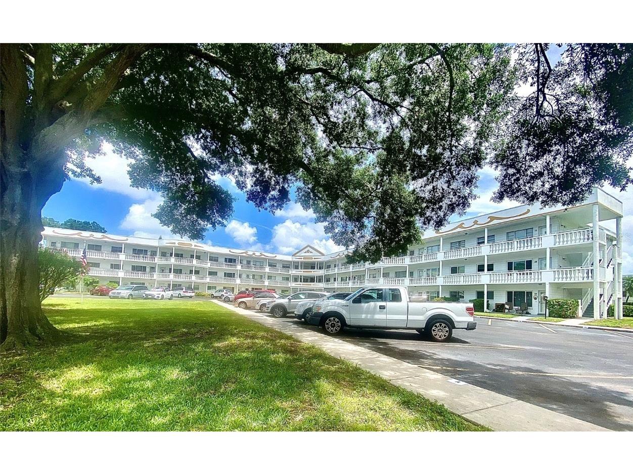 2428 Columbia Drive #10 Clearwater FL 33763 U8207676 image1