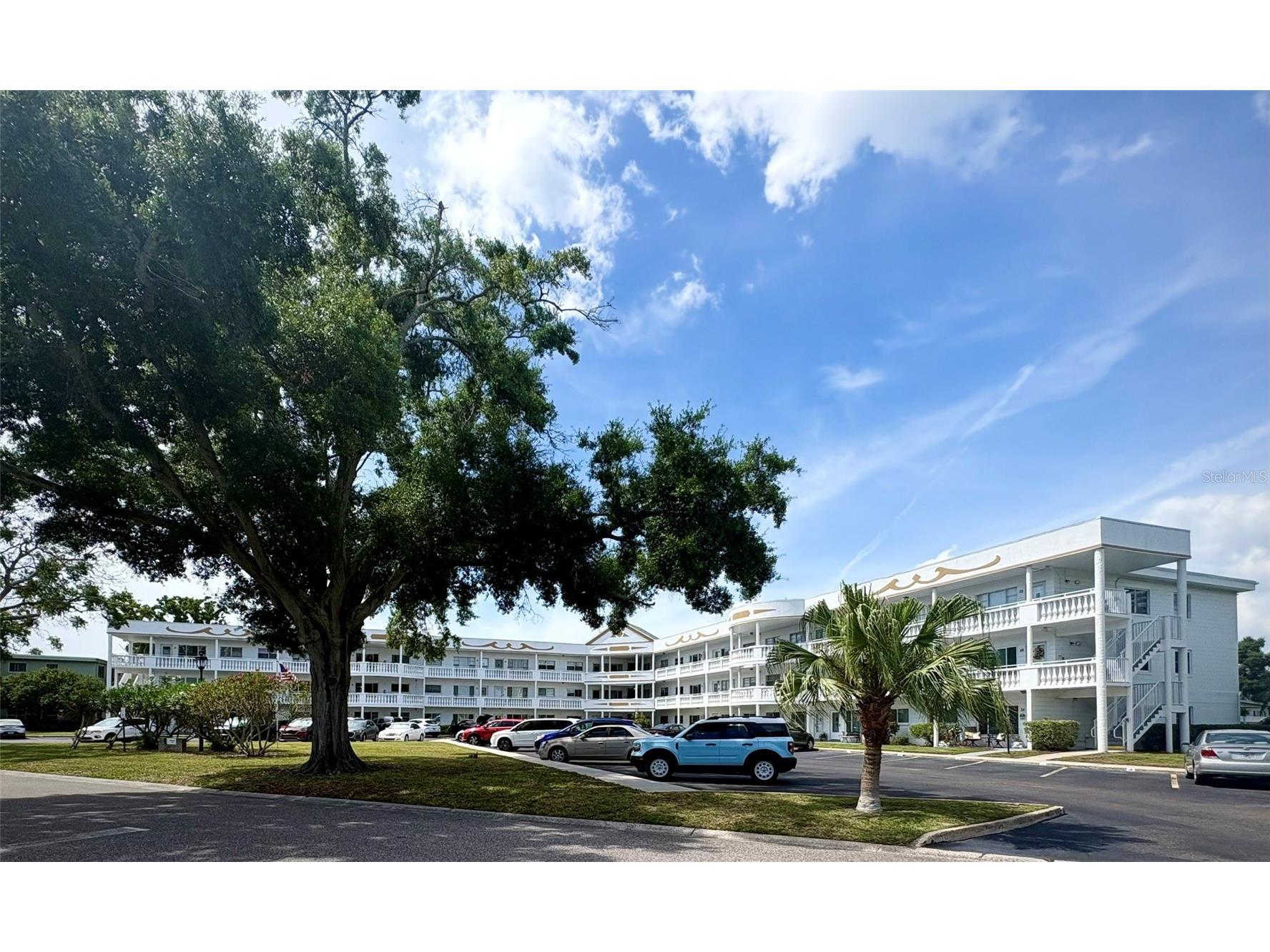 2428 Columbia Drive #36 Clearwater FL 33763 TB8506424 image1