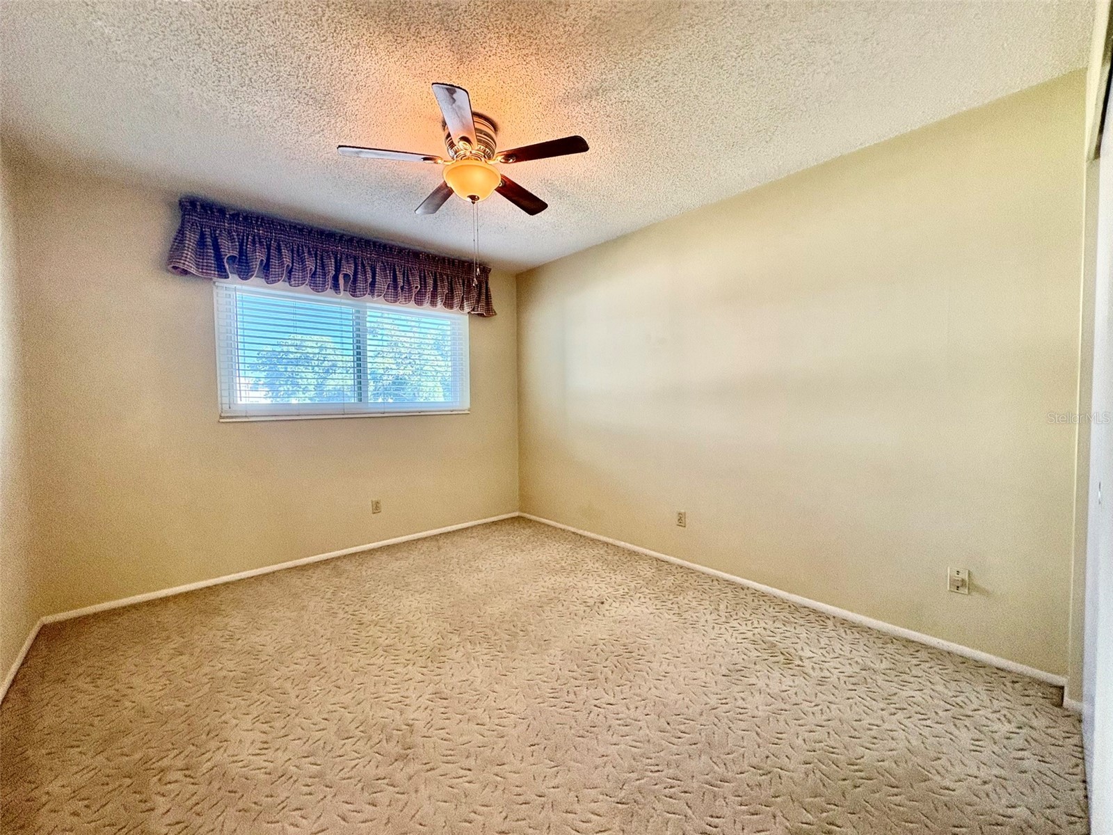 2428 Columbia Drive #36 Clearwater FL 33763 TB8506424 image21