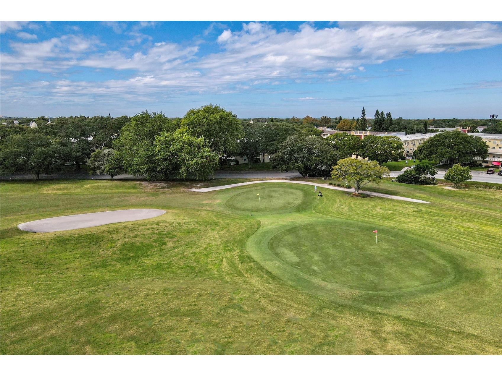 2428 Columbia Drive #36 Clearwater FL 33763 TB8506424 image27