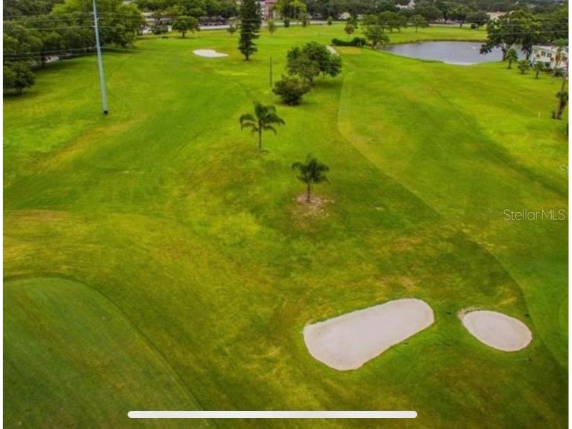 2428 Columbia Drive #44 Clearwater FL 33763 C7516235 image39