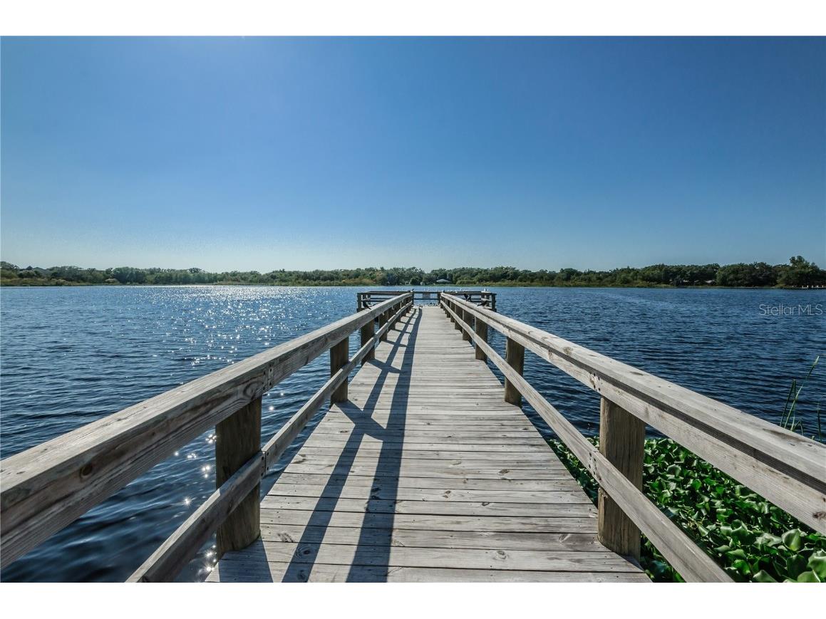 2428 Columbia Drive #64 Clearwater FL 33763 TB8454922 image65