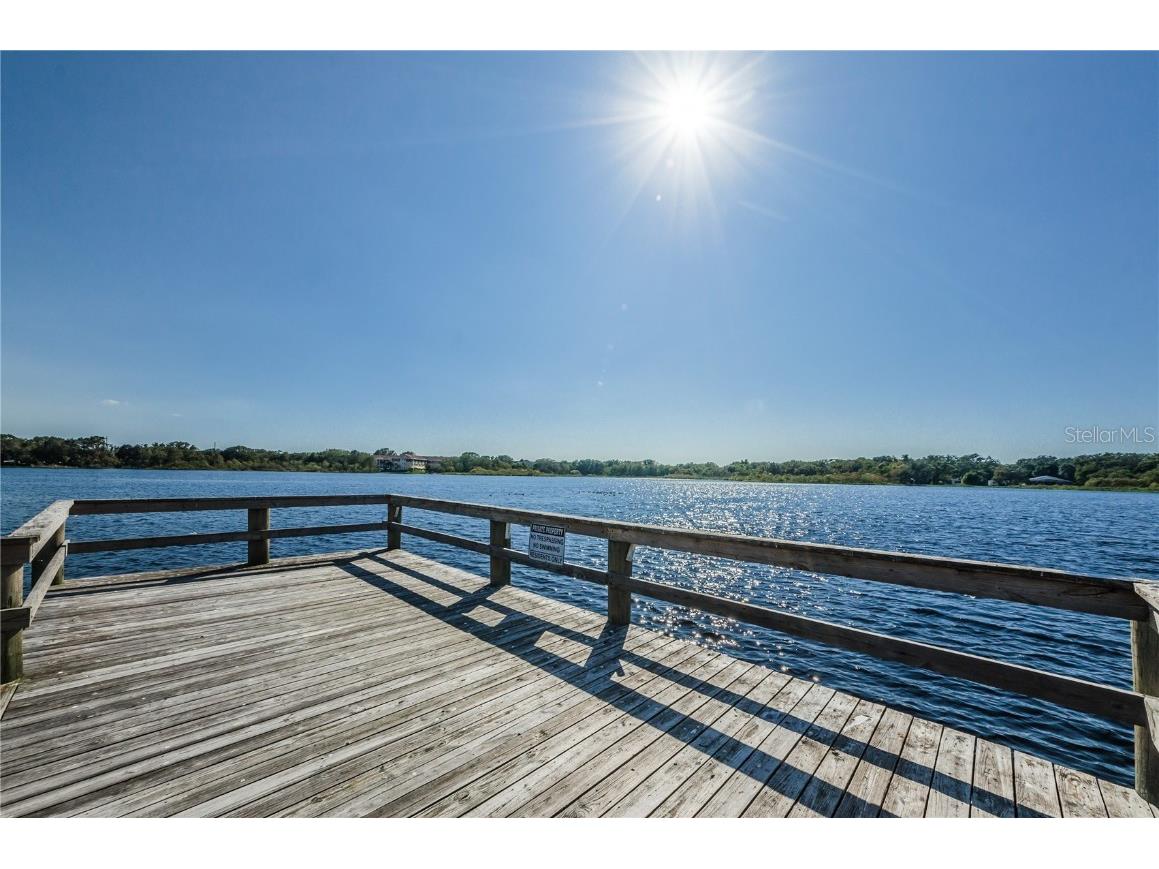 2428 Columbia Drive #64 Clearwater FL 33763 TB8454922 image67