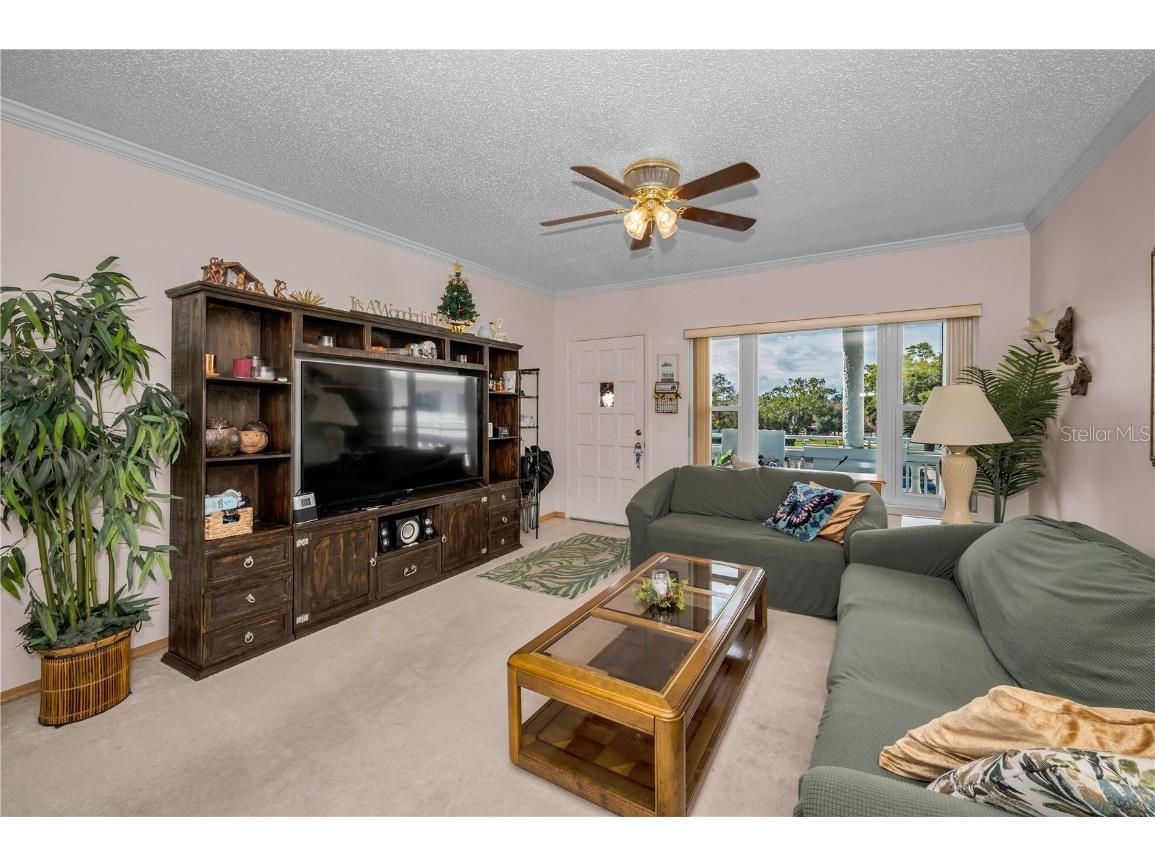 2428 Columbia Drive #64 Clearwater FL 33763 TB8455599 image6