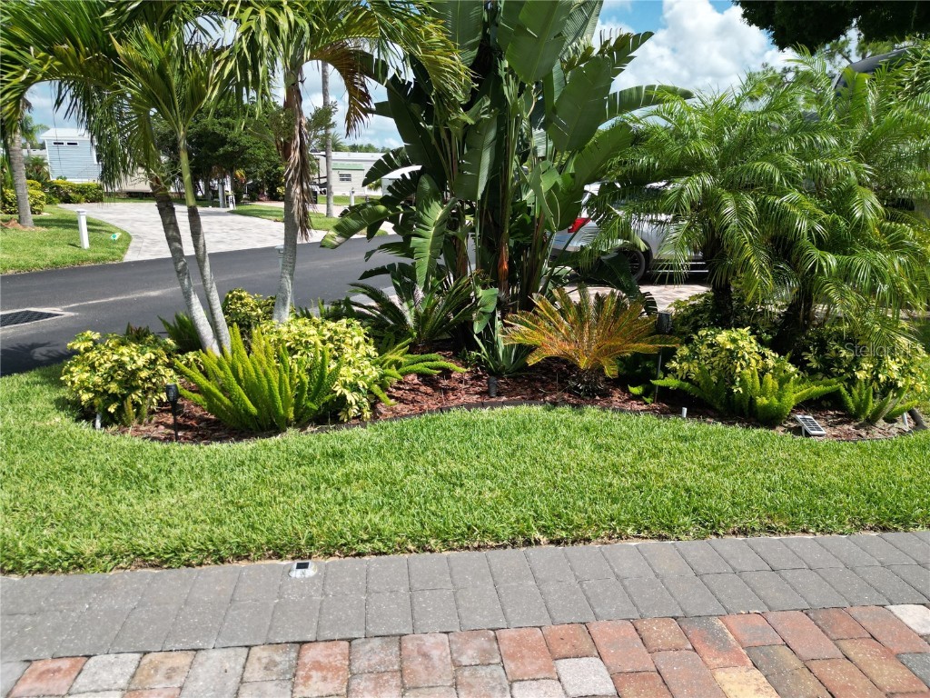 2428 Palm Street Clermont FL 34714 G5084274 image9