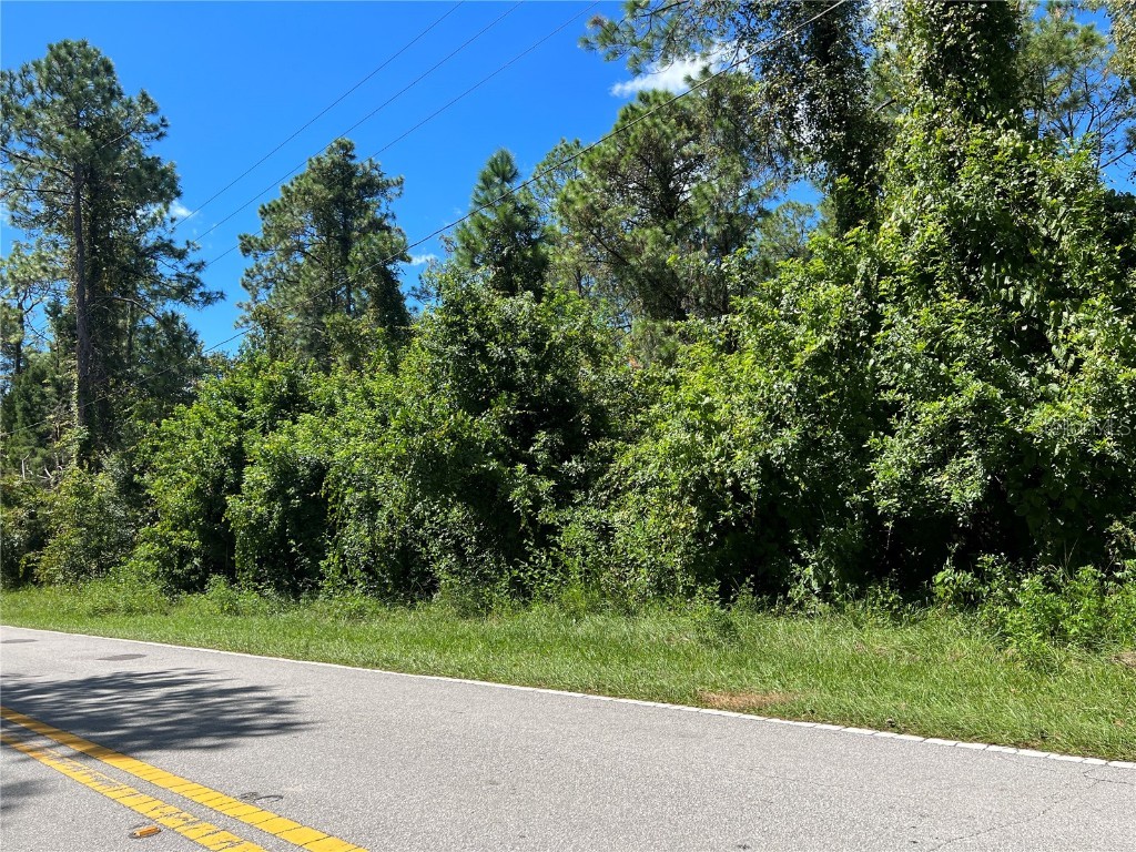 2428 Seven Springs Boulevard New Port Richey FL 34655 J966671 image1