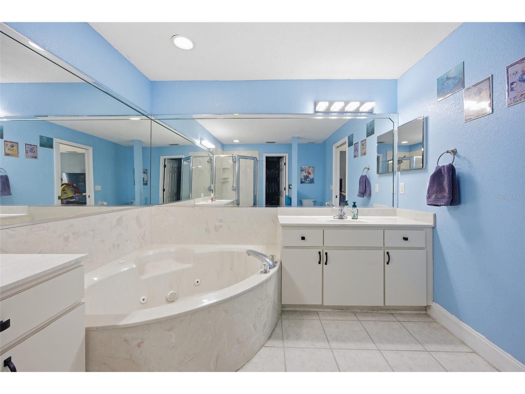 2428 SW 147th Place Road Ocala FL 34473 OM720135 image19