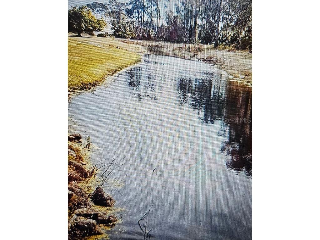 24283 Penhollow Court Punta Gorda FL 33955 C7498385 image1