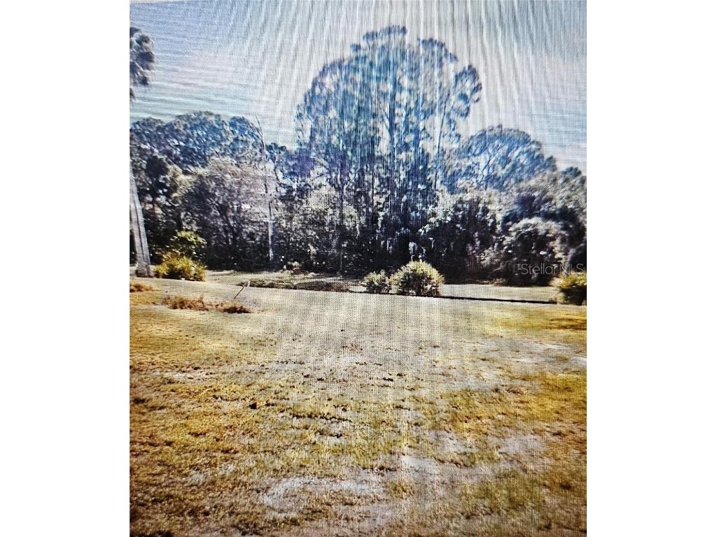 24283 Penhollow Court Punta Gorda FL 33955 C7498385 image3