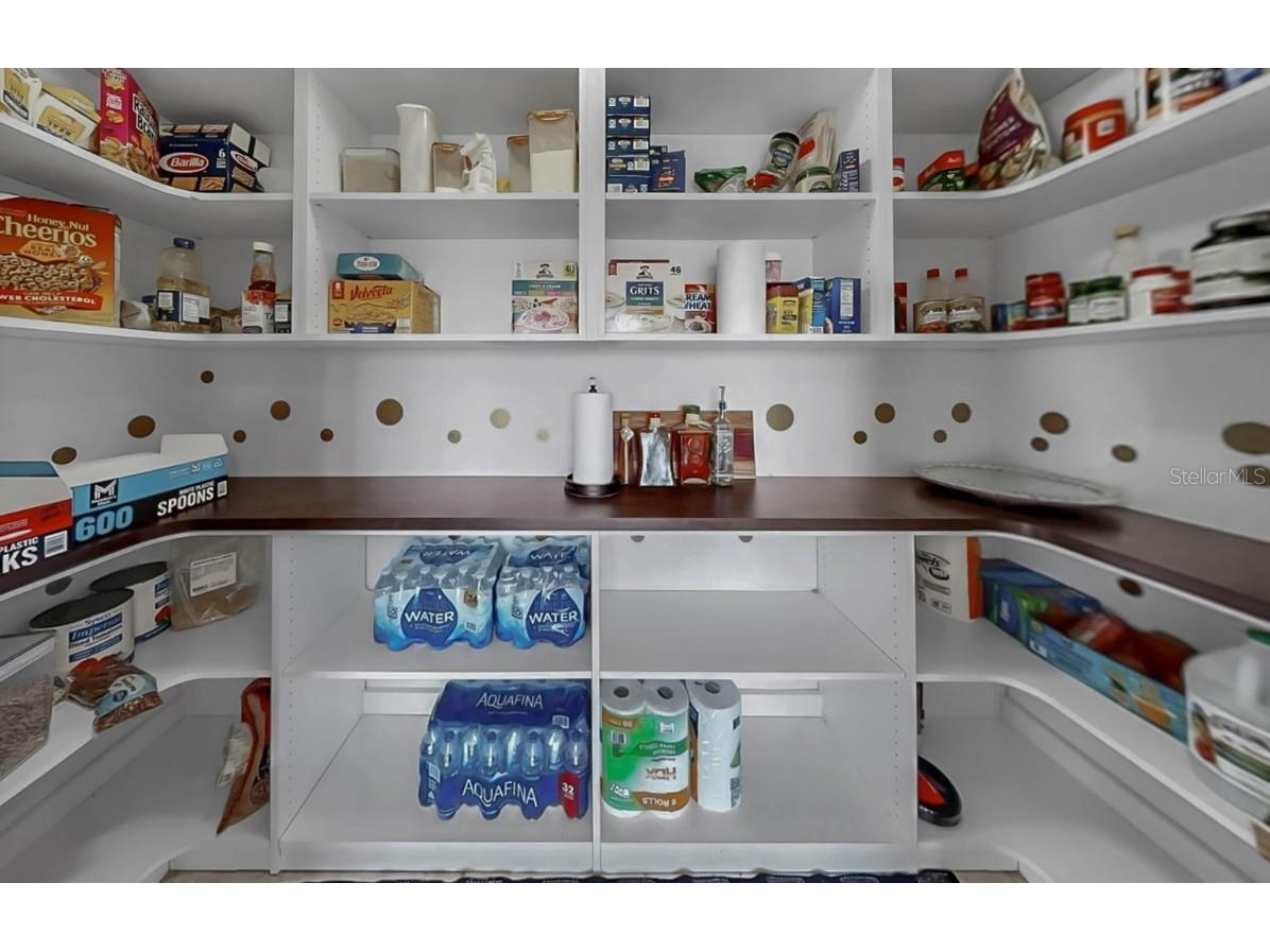 2429 Cumberland Cliff Drive Ruskin FL 33570 TB8441003 image12