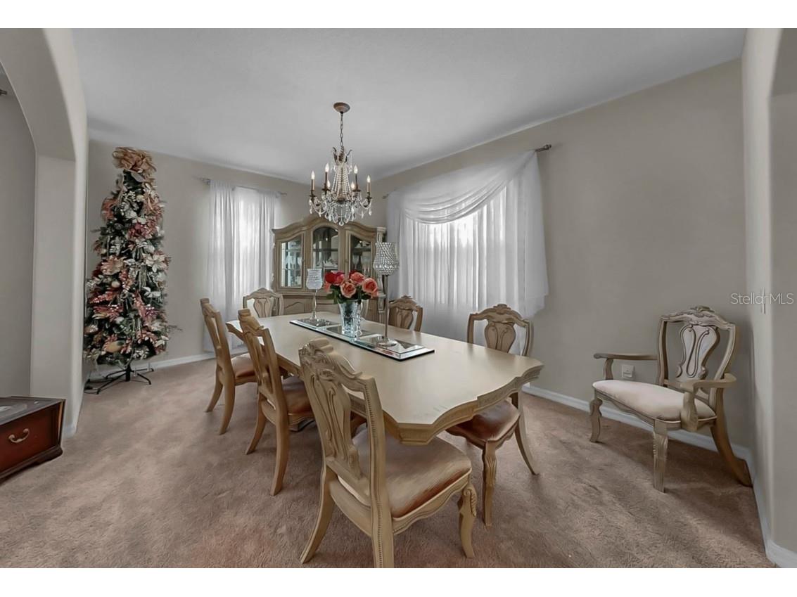 2429 Cumberland Cliff Drive Ruskin FL 33570 TB8441003 image16