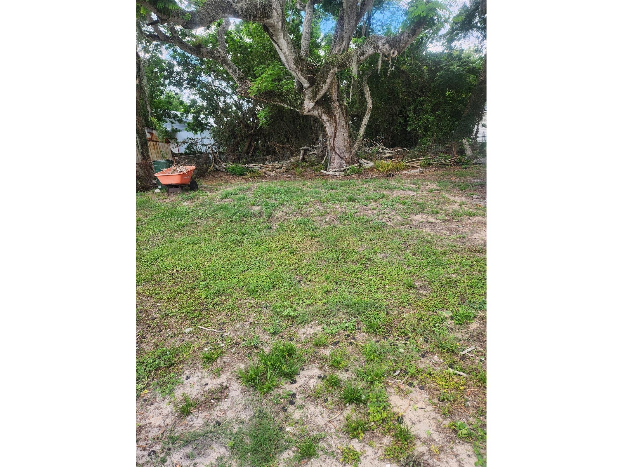 2429 Lakeview Street Lakeland FL 33801 P4938706 image5