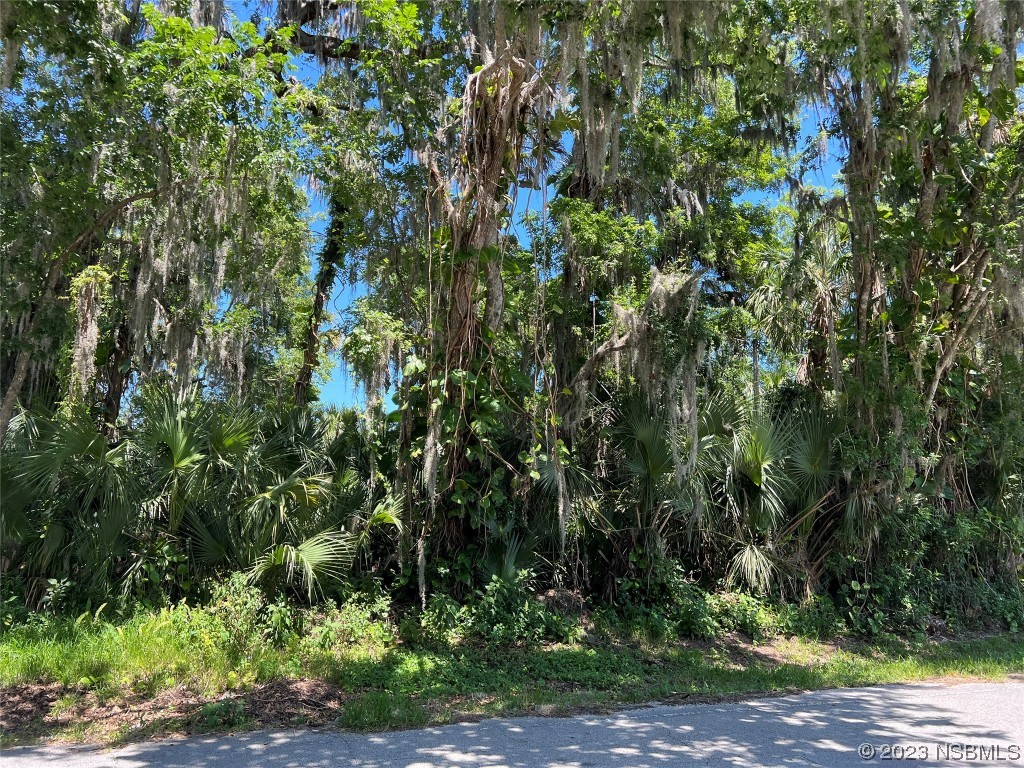 2429 Needle Palm Drive Edgewater FL 32141 NS1074819 image1