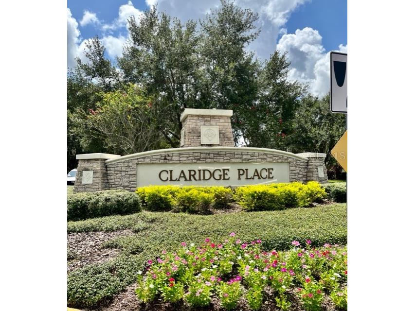 2429 Willimette Drive Wesley Chapel FL 33543 U8208078 image1