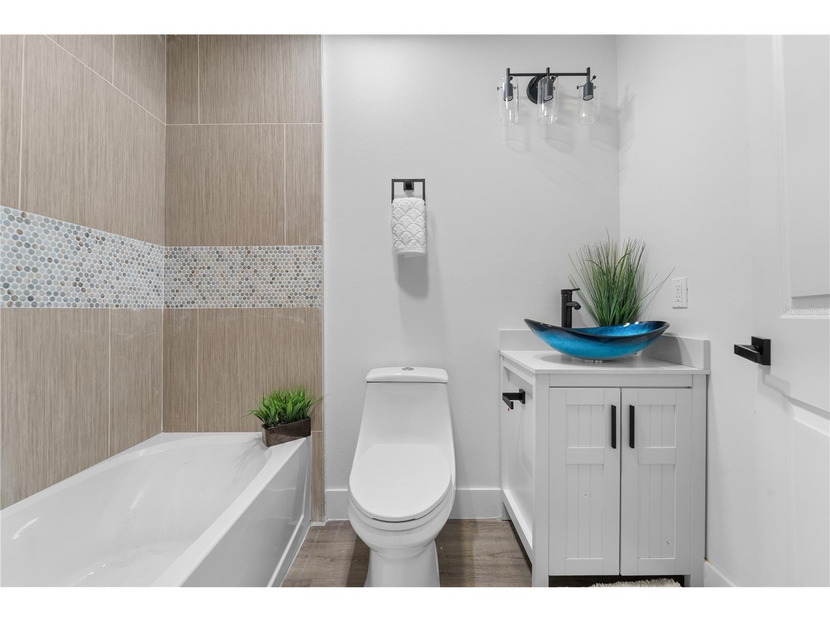 243 Florida Avenue Winter Garden FL 34787 S5149991 image13