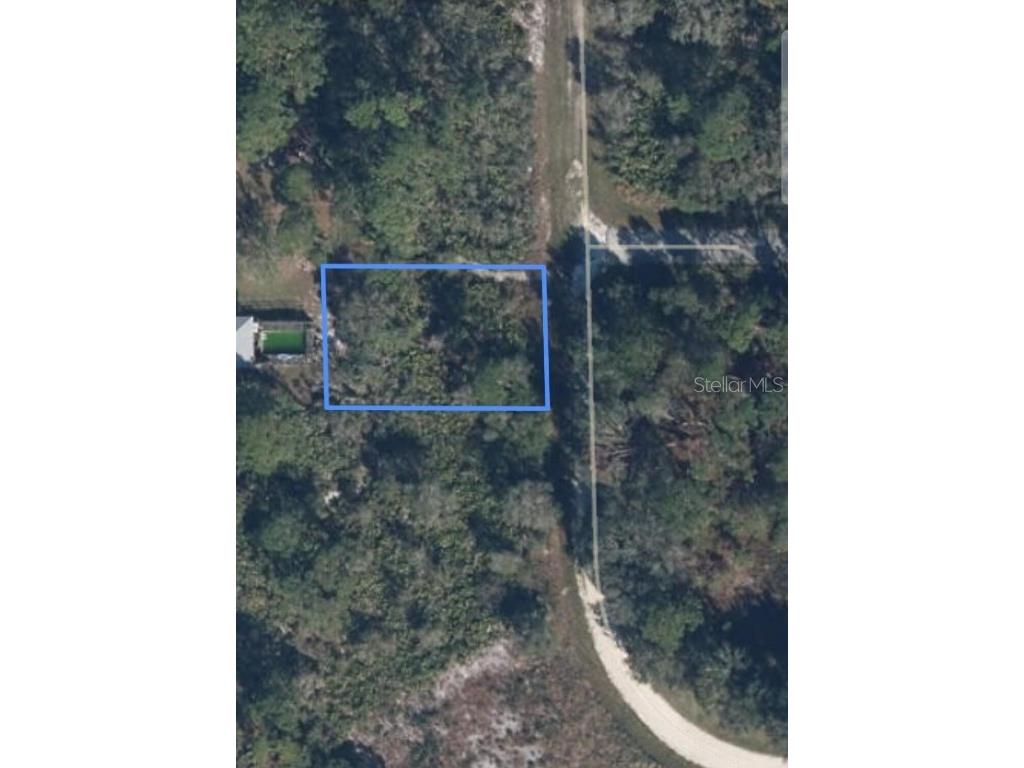 243 Audrey Avenue NW Lake Placid FL 33852 O6359869 image1