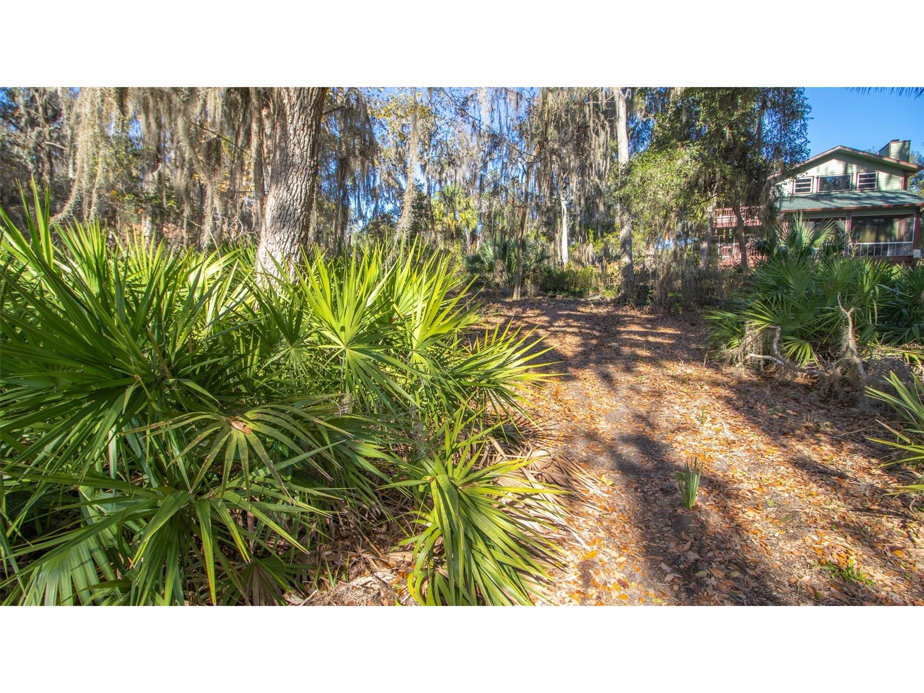 243 Herman Drive Hawthorne FL 32640 - REDWATER LAKE GC536818 image49