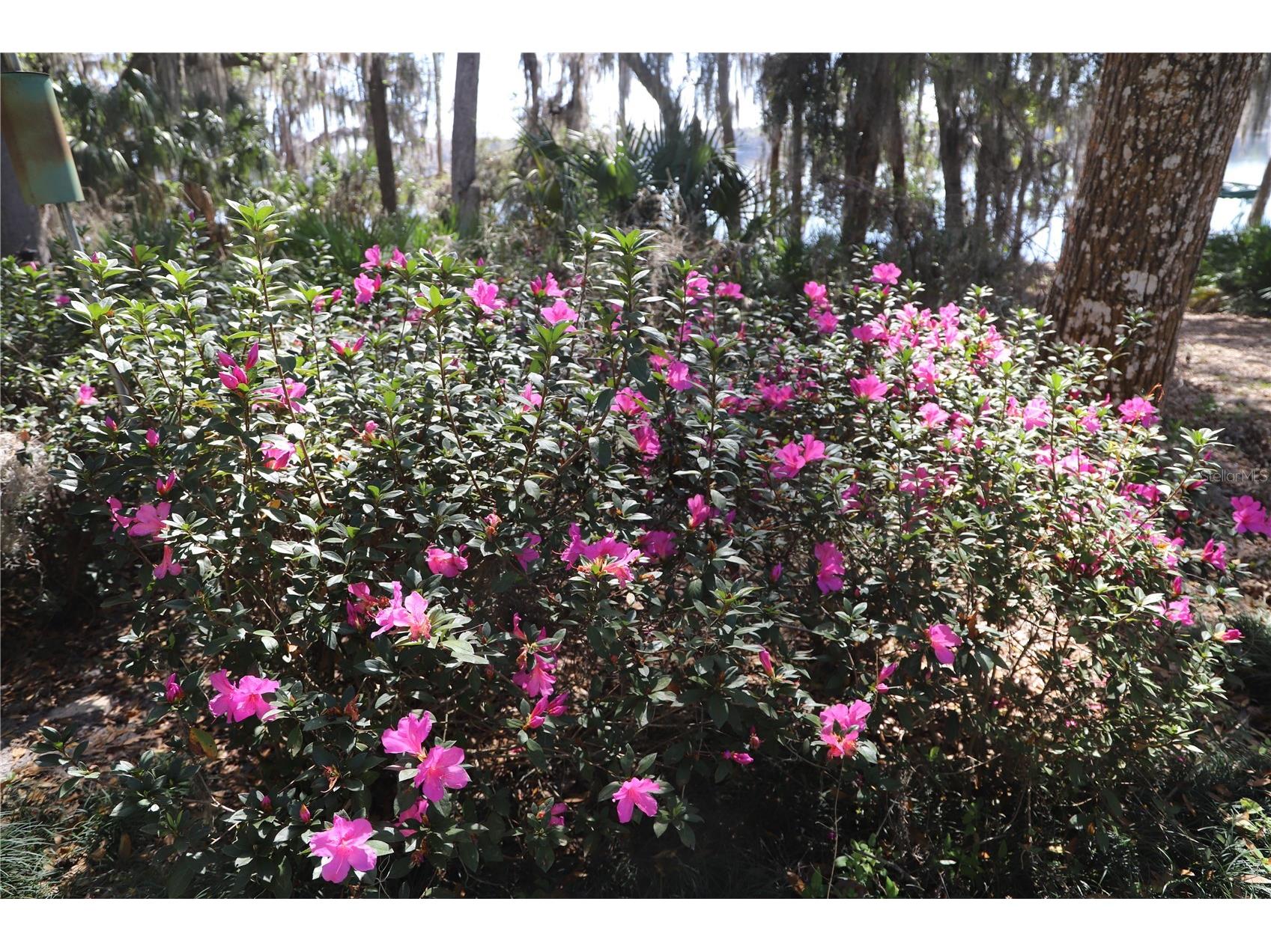 243 Herman Drive Hawthorne FL 32640 - REDWATER LAKE GC536818 image58