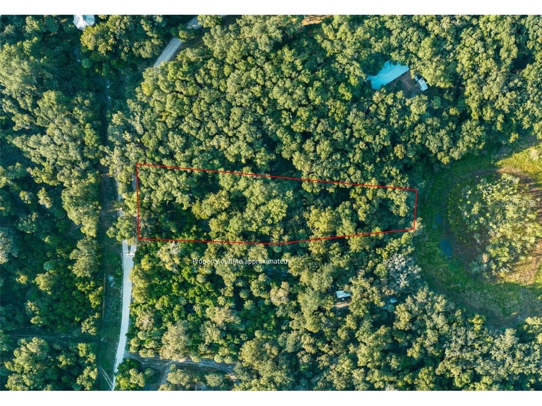 243 Little Orange Lake Drive Hawthorne FL 32640 GC508998 image1