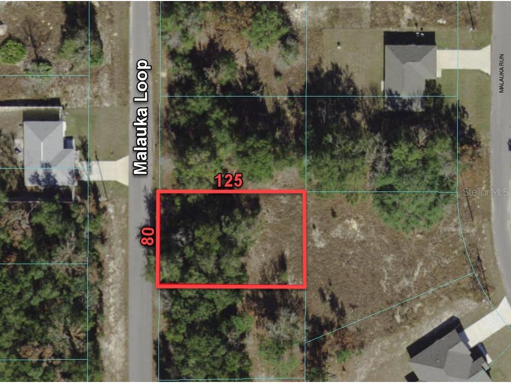 243 Malauka Loop Ocklawaha FL 32179 O6154450 image1