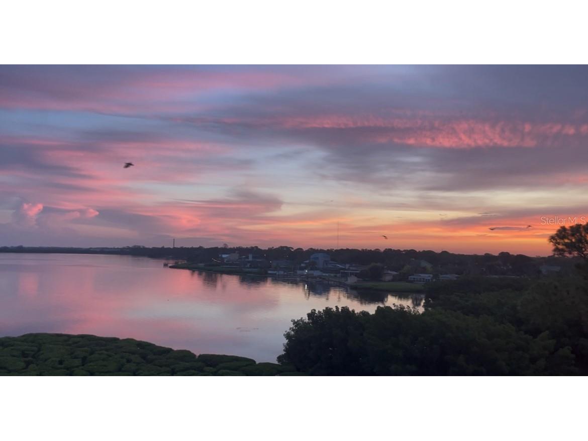 243 Mariner Drive #243 Tarpon Springs FL 34689 - GULF SNEAD CREEK W7887935 image12
